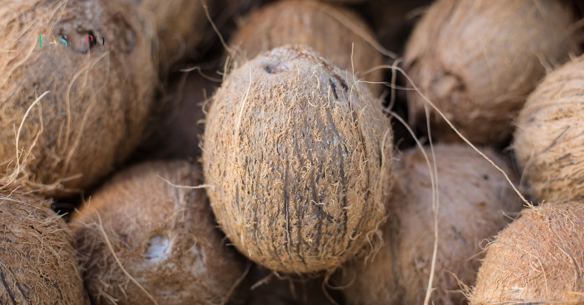 dried coconut supplier