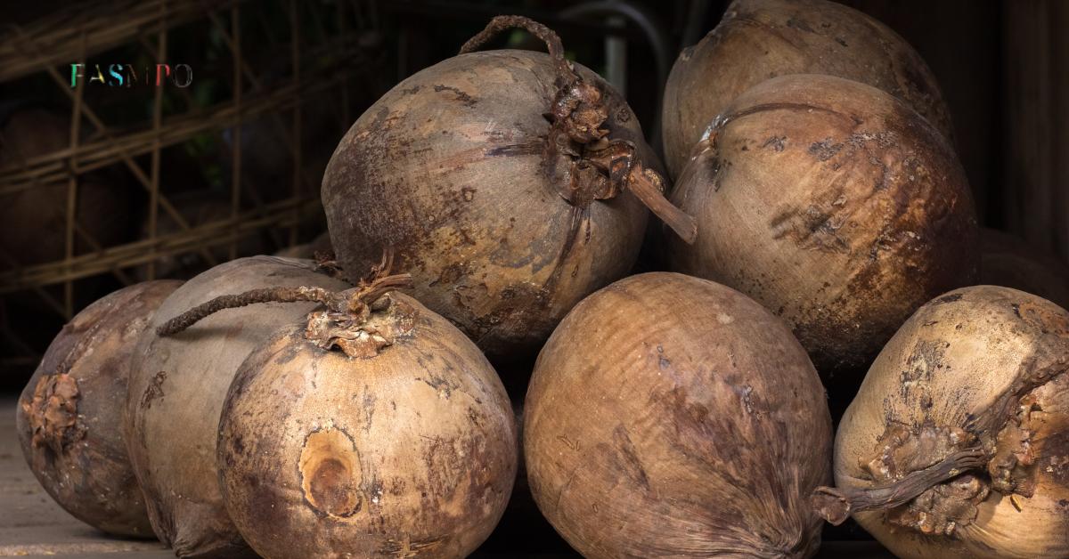 dried coconut exporter