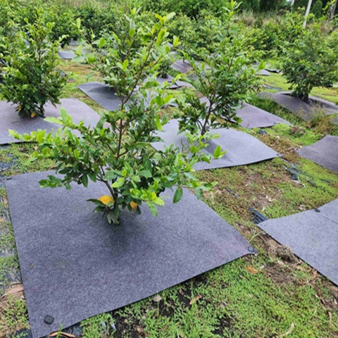 In an increasingly volatile global supply chain, sourcing raw materials that meet strict technical specifications while maintaining competitive pricing is a vital strategic objective for procurement managers, executives, and B2B business development leads. Across industrial sectors—ranging from apparel, furniture, and automotive to environmental filtration and agriculture—Needle Punched Nonwoven Fabric and Nonwoven Felt Fabric serve as essential material links, directly influencing the durability, aesthetics, and total unit cost of finished products.